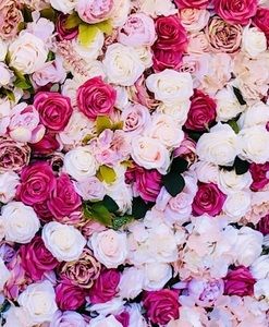 Meet your Posher, Lilly